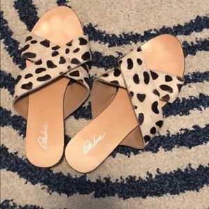 Animal print slides